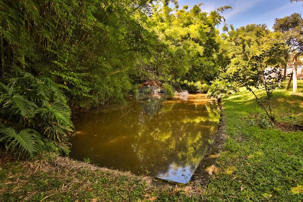 Chácara / Sítio / Fazenda - Venda - São Roque , São Paulo - IMG_0047.jpg - 631601019-36