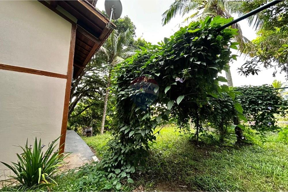 Casa - Alugar - Ilhabela , São Paulo - WhatsApp Image 2026-03-16 at 17.52.50 (2).jpeg - 690881023-85