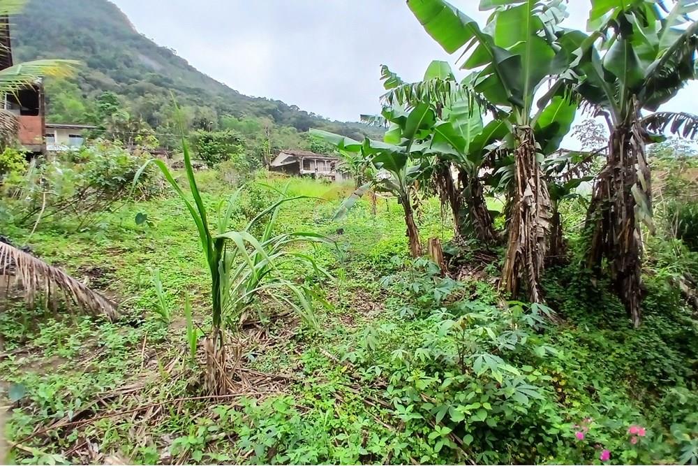 Terreno - Venda - Caraguatatuba , São Paulo - 20251009_101112.jpg - 631571013-20