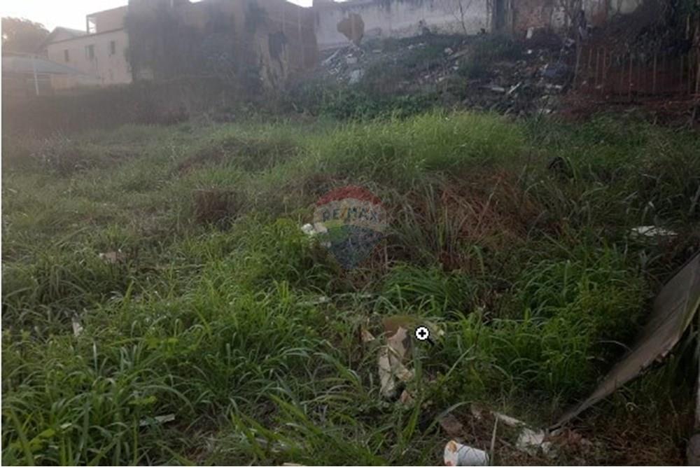 Terreno - Venda - São José do Rio Preto , São Paulo - chrome_BzYzuvLsBz.jpeg - 631321001-116