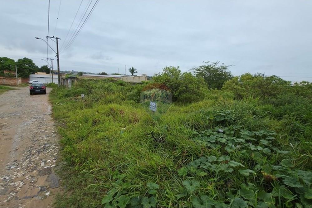 Terreno - Venda - Cabo Frio , Rio de Janeiro - 20260122_121433.jpg - 631551041-6