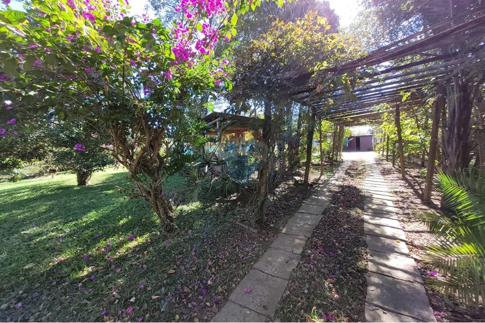 Chácara / Sítio / Fazenda - Venda - Ibiúna , São Paulo - 33.jpeg - 631331004-42