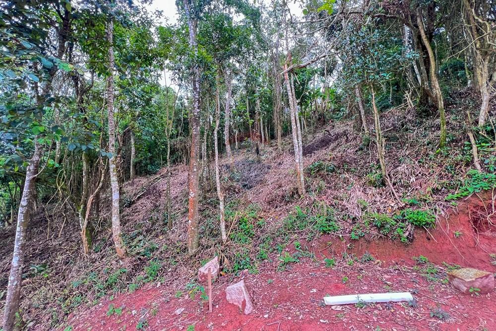 Terreno - Venda - Ribeirão Pires , São Paulo - 9.jpg - 631371054-1