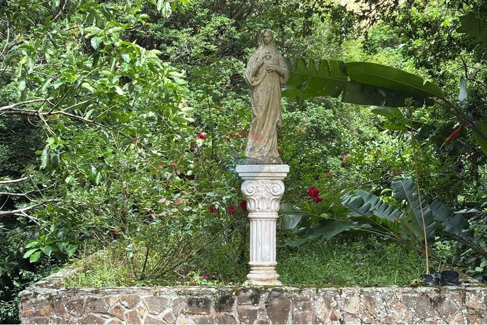 Chácara / Sítio / Fazenda - Venda - Bom Jardim , Rio de Janeiro - 36739776-4534-44ff-9ca0-33d0a15ec830.jpg - 630171006-65