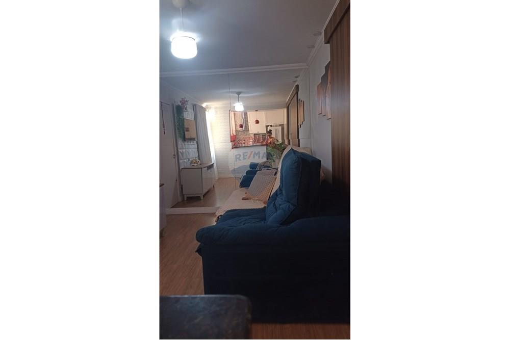 Apartamento - Alugar - Araçatuba , São Paulo - IMG-20251204-WA0145.jpg - 630541060-6