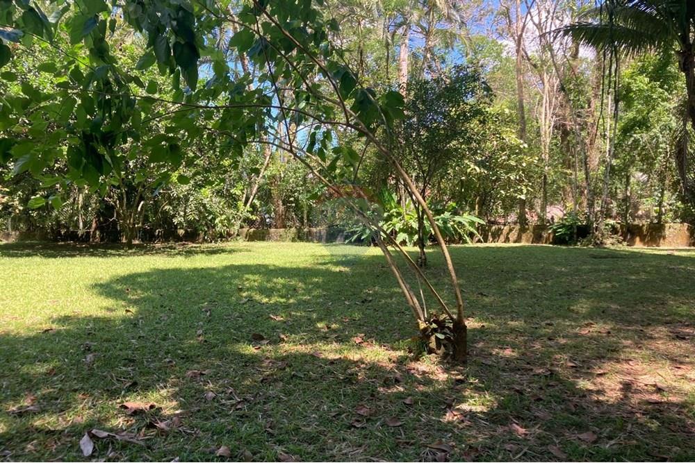 Terreno - Venda - São Sebastião , São Paulo - Terreno á venda Maresias (66).jpg - Jardim Externo - 631461028-8