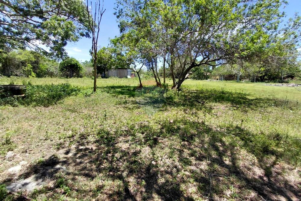 Terreno - Venda - Armação dos Búzios , Rio de Janeiro - 20251211_104851.jpg - 630391071-25