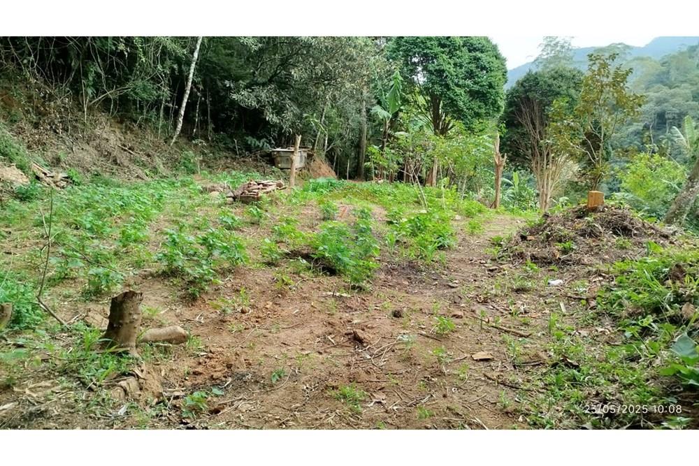 Terreno - Venda - Petrópolis , Rio de Janeiro - WhatsApp Image 2025-05-26 at 12.02.27.jpeg - 630131076-3