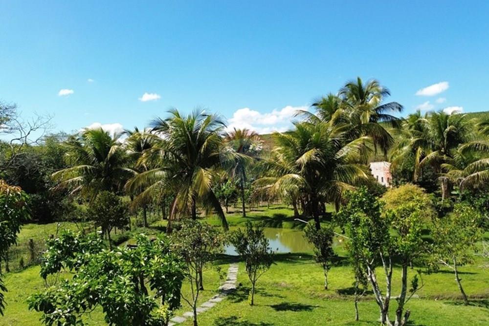Chácara / Sítio / Fazenda - Venda - Rio Bonito , Rio de Janeiro - DJI_0016.JPG - 631351005-11