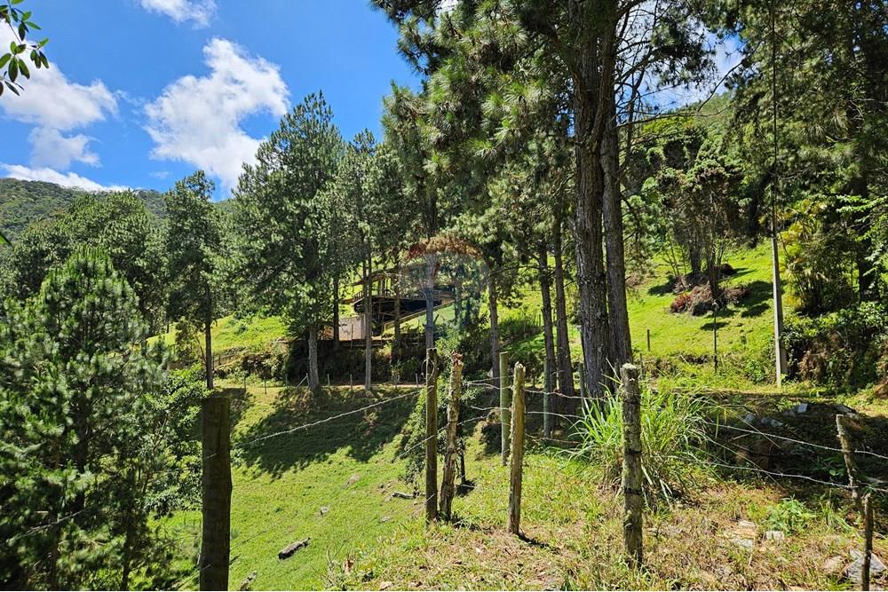 Terreno - Venda - Nova Friburgo , Rio de Janeiro - 20251111_103532.jpg - 630551024-83