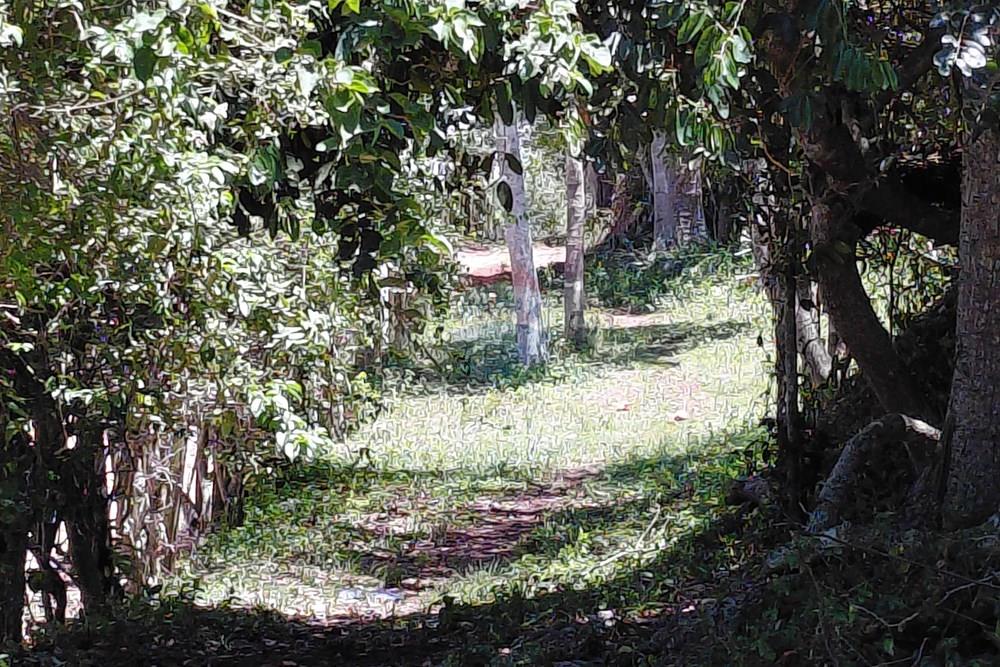 Terreno - Venda - Armação dos Búzios , Rio de Janeiro - 20251211_105515.jpg - 630391071-25