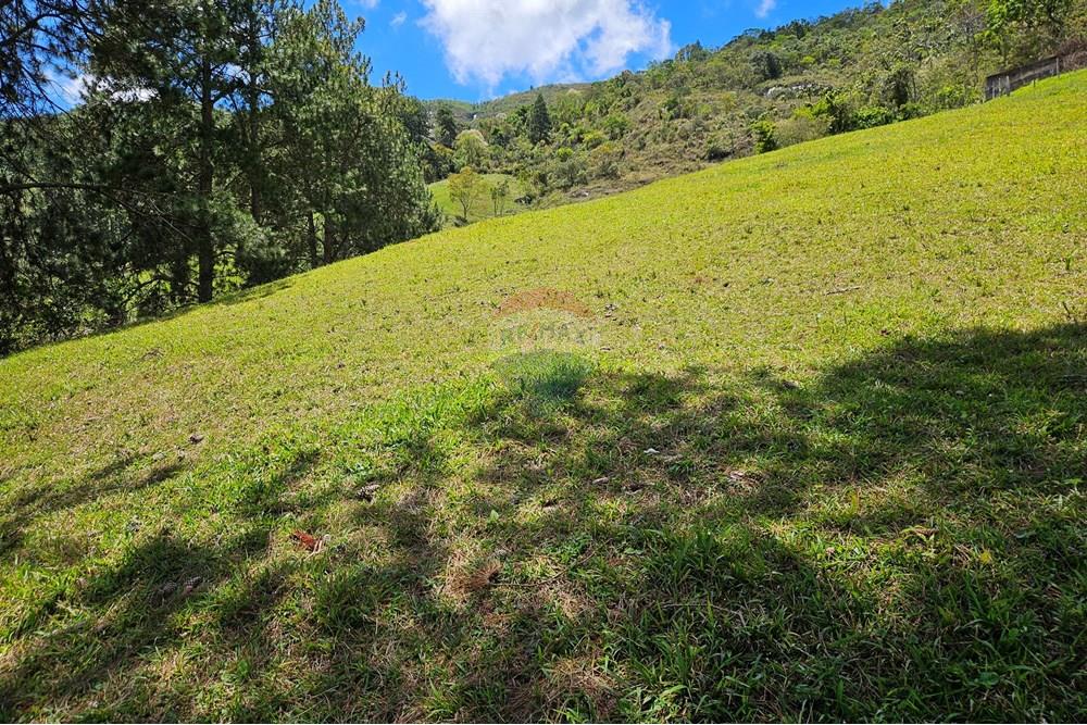 Terreno - Venda - Nova Friburgo , Rio de Janeiro - 20251111_103814.jpg - 630551024-83