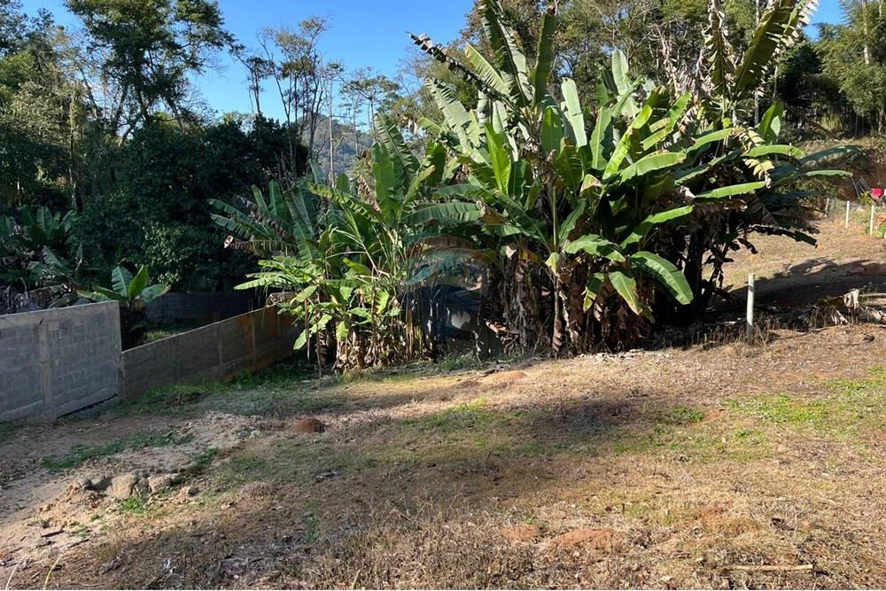 Terreno - Venda - Teresópolis , Rio de Janeiro - WhatsApp Image 2025-08-04 at 12.42.33.jpeg - 630191097-3