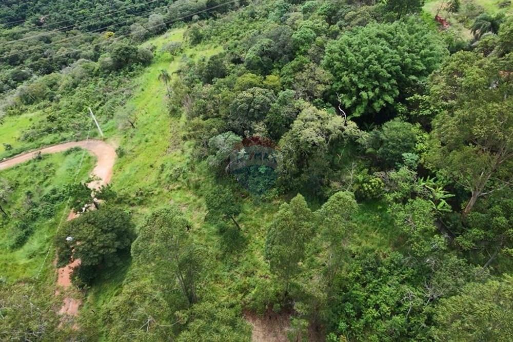 Terreno - Venda - Mairiporã , São Paulo - WhatsApp Image 2026-02-11 at 21.44.05 (3).jpeg - 631361059-4