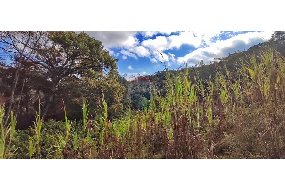 Terreno - Venda - Petrópolis , Rio de Janeiro - IMG_20250814_093424.jpg - 630131061-30