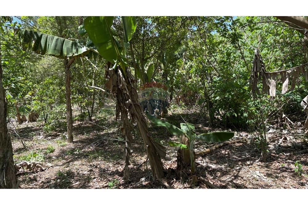 Chácara / Sítio / Fazenda - Venda - Porangaba , São Paulo - WhatsApp Image 2025-11-28 at 09.40.06 (5).jpeg - 630481027-141