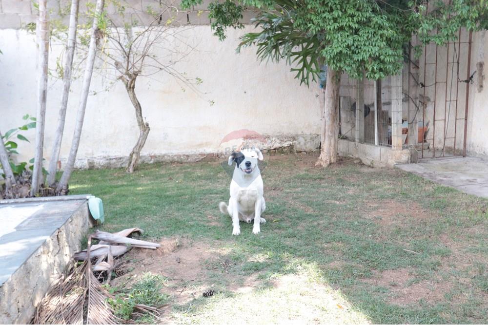 Casa - Venda - São Roque , São Paulo - IMG_6129.JPG - 631601017-75