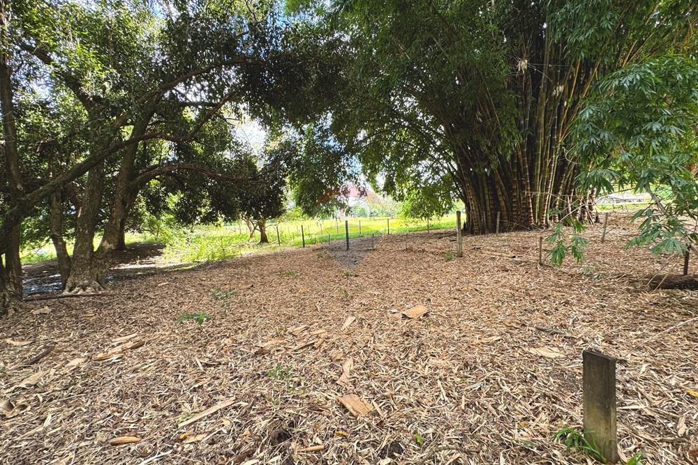 Chácara / Sítio / Fazenda - Venda - Birigui , São Paulo - 20260129_132958345_iOS.jpg - 630541040-79