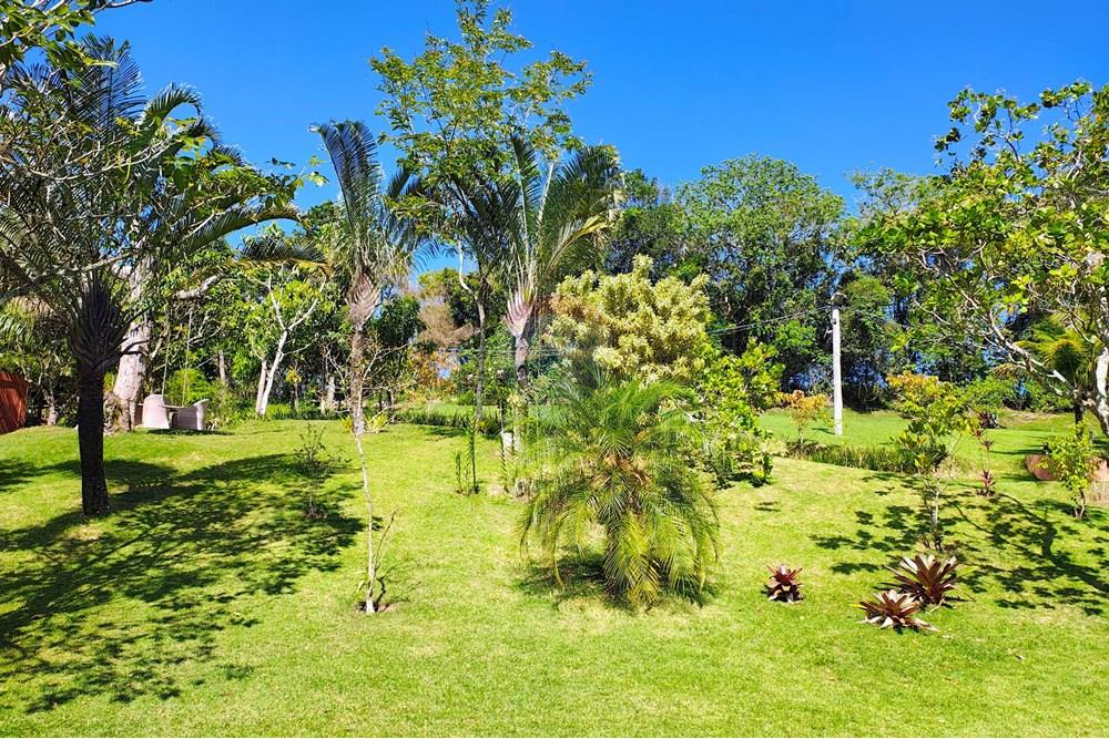 Outros - Alugar - Rio de Janeiro , Rio de Janeiro - IMG_20251110_141257506_HDR_AE.jpg - 630121005-376