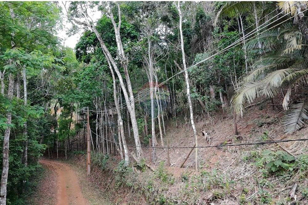 Terreno - Venda - Teresópolis , Rio de Janeiro - DJI_20251223091704_0235_D.JPG - 630191109-14