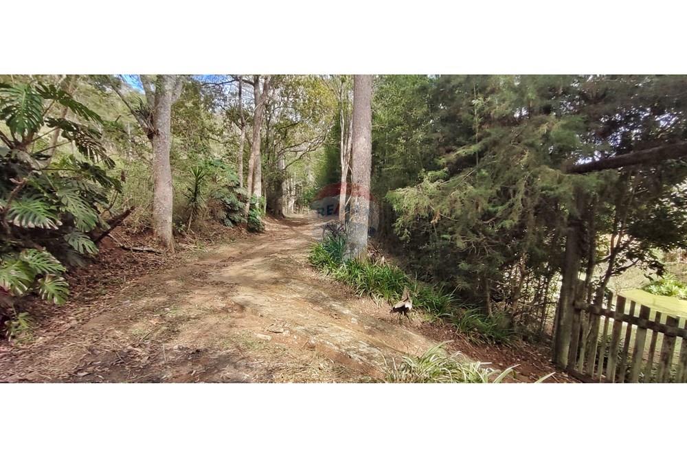 Terreno - Venda - Petrópolis , Rio de Janeiro - IMG_20250814_092641.jpg - 630131061-30