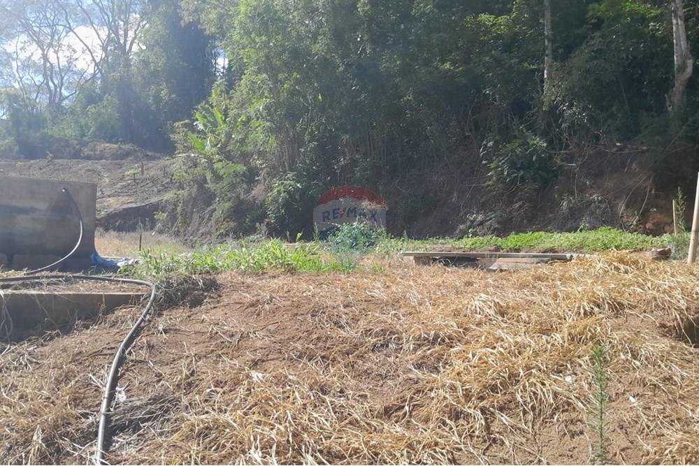 Chácara / Sítio / Fazenda - Venda - Bom Jardim , Rio de Janeiro - WhatsApp Image 2025-12-01 at 11.05.02 (1).jpeg - 630171007-63