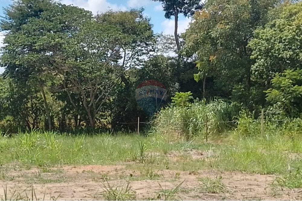 Terreno - Venda - Paraíba do Sul , Rio de Janeiro - IMG_20250225_111345_HDR.jpg - 631411001-104