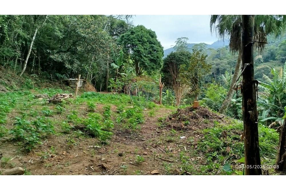 Terreno - Venda - Petrópolis , Rio de Janeiro - WhatsApp Image 2025-05-26 at 12.02.30.jpeg - 630131076-3