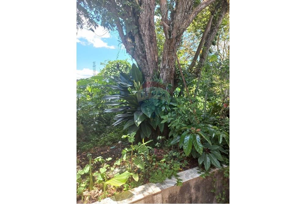 Casa - Venda - Mauá , São Paulo - WhatsApp Image 2025-11-12 at 15.35.07.jpeg - 630751053-184