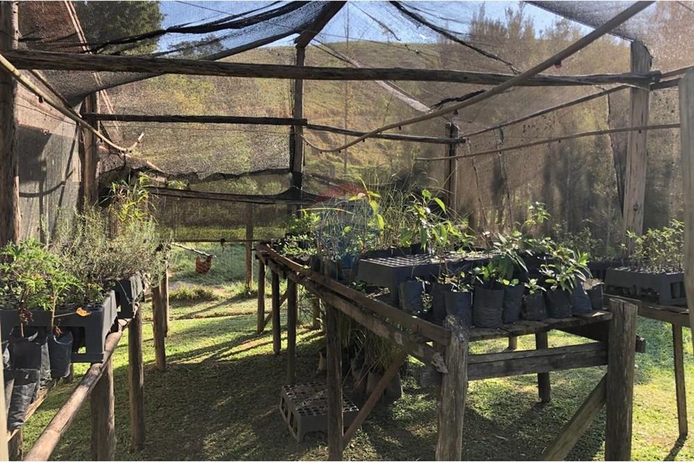 Chácara / Sítio / Fazenda - Venda - Monteiro Lobato , São Paulo - IMG-20240726-WA0118.jpg - 631431003-134