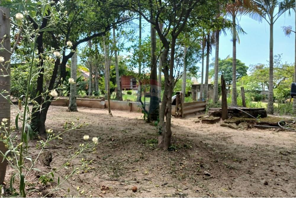 Chácara / Sítio / Fazenda - Venda - Salto de Pirapora , São Paulo - 215.jpeg - 631181053-21