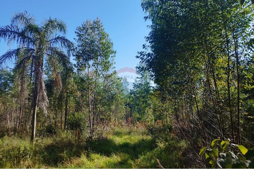 Terreno - Venda - Cabreúva , São Paulo - Terreno Maria Tereza 8.jpg - 630531013-11