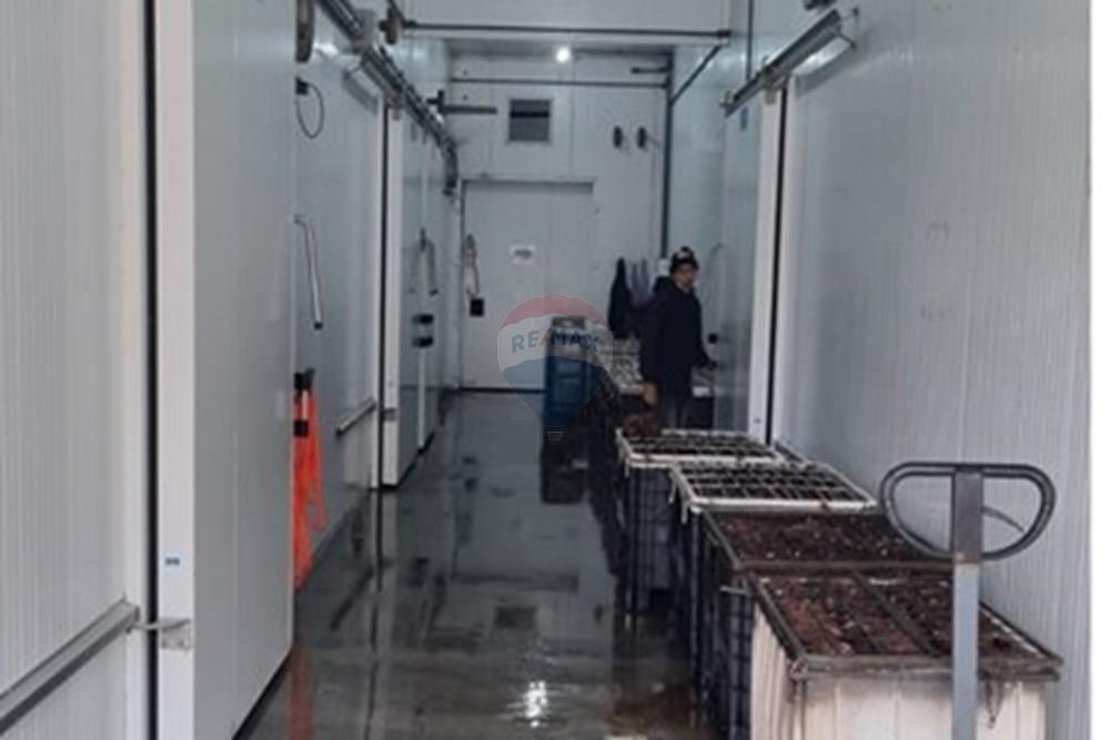 Galpão - Alugar - Araçoiaba da Serra , São Paulo - WhatsApp Image 2026-03-09 at 11.57.27 (1).jpeg - 631641030-4