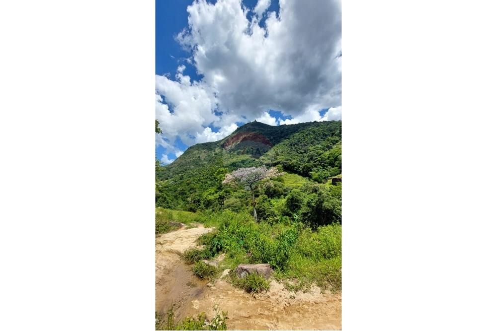 Chácara / Sítio / Fazenda - Venda - Macaé , Rio de Janeiro - e132c7c3-18ac-475c-8a50-ac0452fdfce5.jpeg - 630361003-106