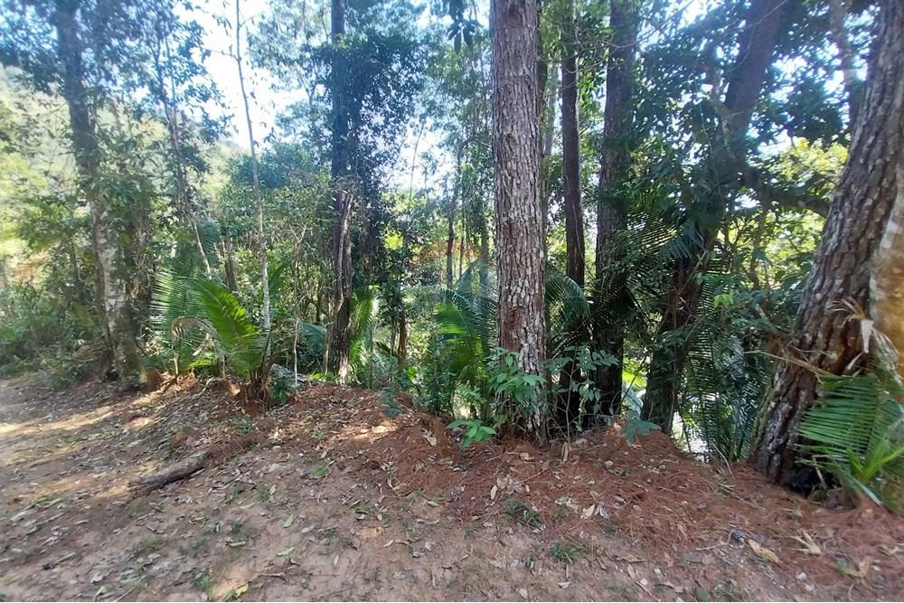 Terreno - Venda - Ubatuba , São Paulo - 20251001_093300.jpg - 631571010-2