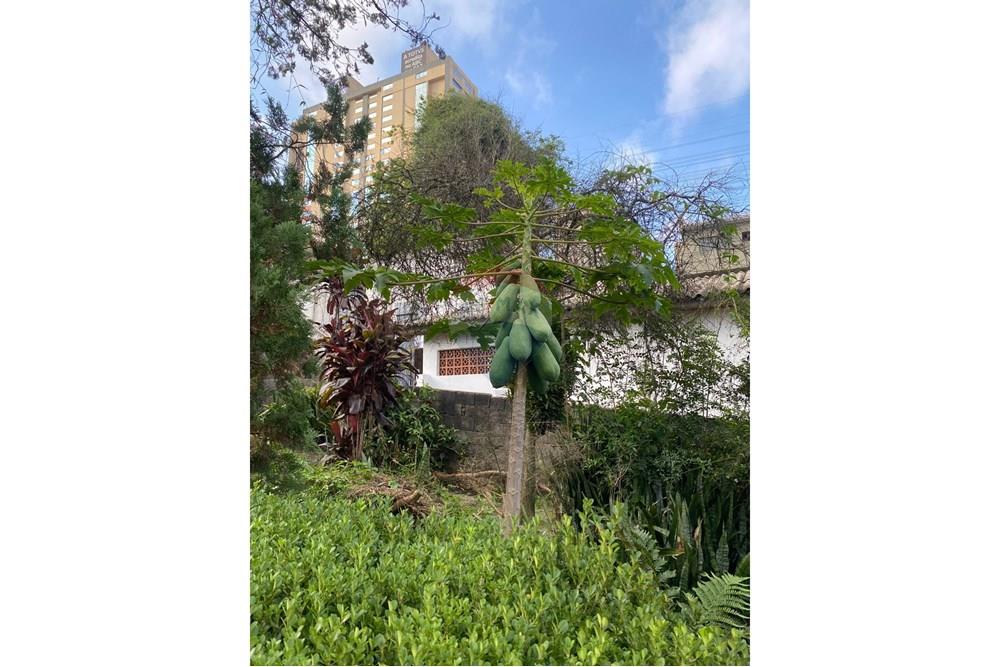 Terreno - Venda - Santo André , São Paulo - foto13.jpeg - 630821021-21