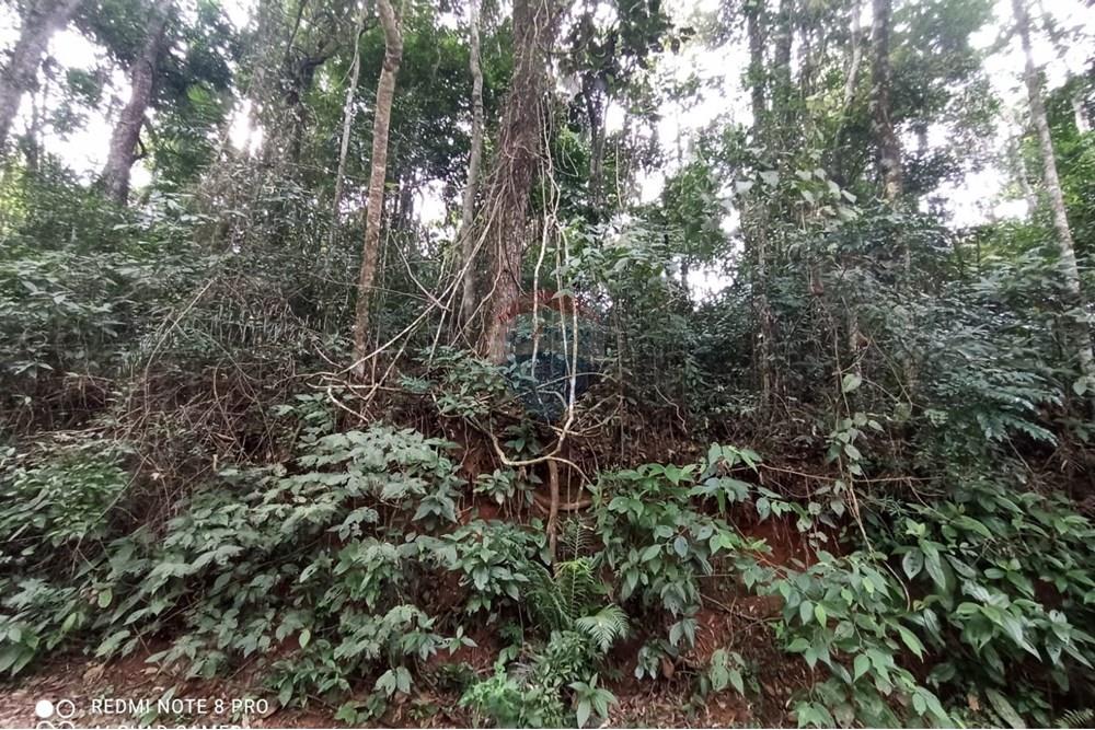 Terreno - Venda - Mairiporã , São Paulo - WhatsApp Image 2025-07-28 at 23.50.13 (2).jpeg - 631361025-37