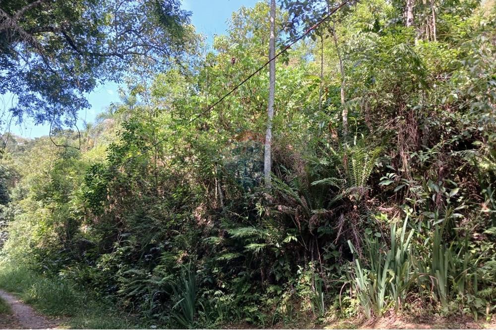 Terreno - Venda - Mairiporã , São Paulo - vista frontal do lote.jpeg - 631361025-34