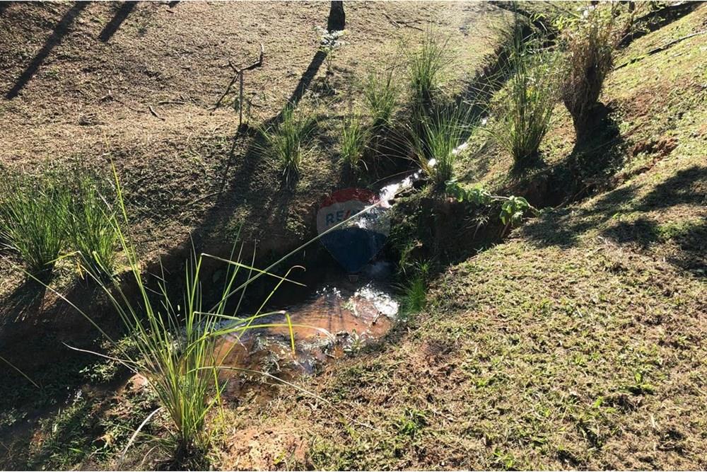 Chácara / Sítio / Fazenda - Venda - Monteiro Lobato , São Paulo - IMG-20240726-WA0075.jpg - 631431003-134