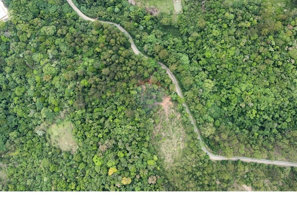 Terreno - Venda - Mairiporã , São Paulo - dji_fly_20251114_111526_828_1763130091419_photo_optimized.jpg - 631361005-166