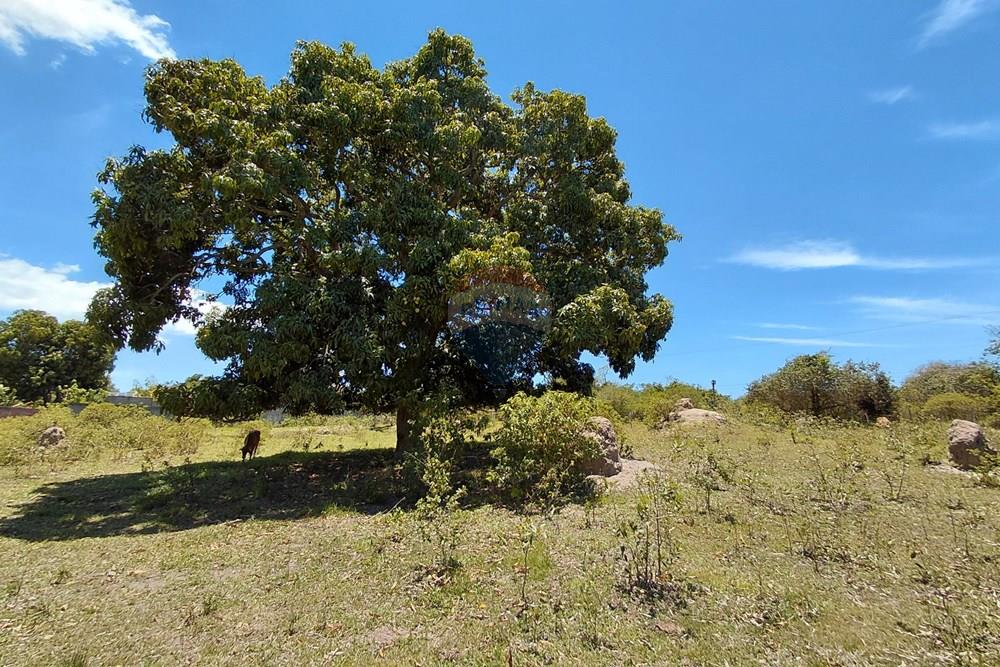 Terreno - Venda - Armação dos Búzios , Rio de Janeiro - 20251211_111553.jpg - 630391071-22