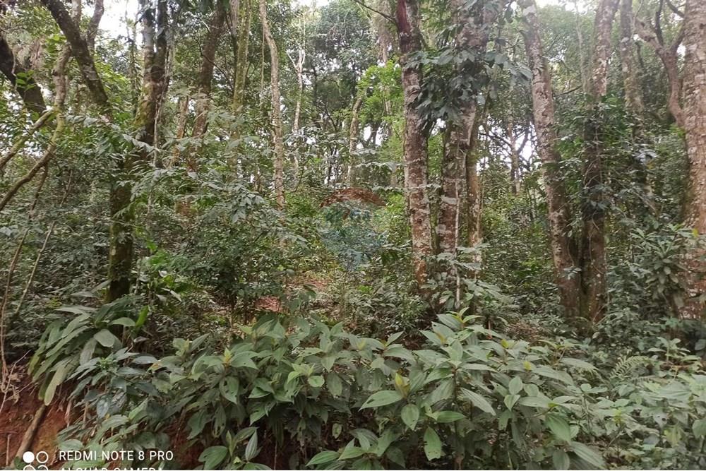 Terreno - Venda - Mairiporã , São Paulo - WhatsApp Image 2025-07-28 at 23.50.07.jpeg - 631361025-37