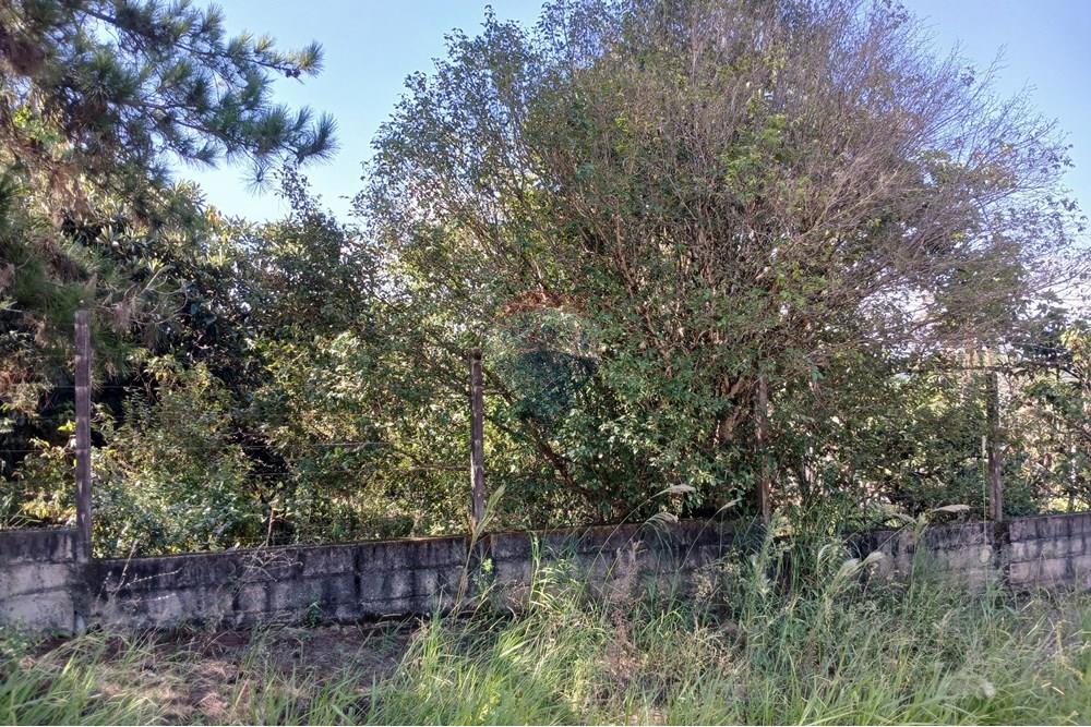 Terreno - Venda - Salto de Pirapora , São Paulo - 20250306_153611.jpg - 631181028-68