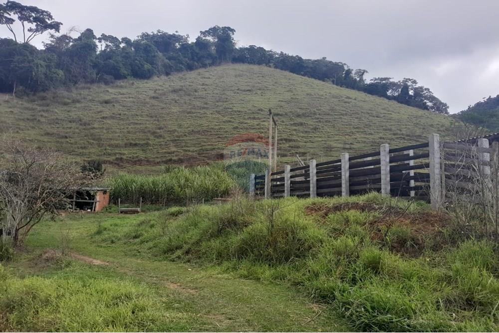 Agro - Venda - Santa Maria Madalena , Rio de Janeiro - WhatsApp Image 2025-05-29 at 13.33.00.jpeg - 630171007-50