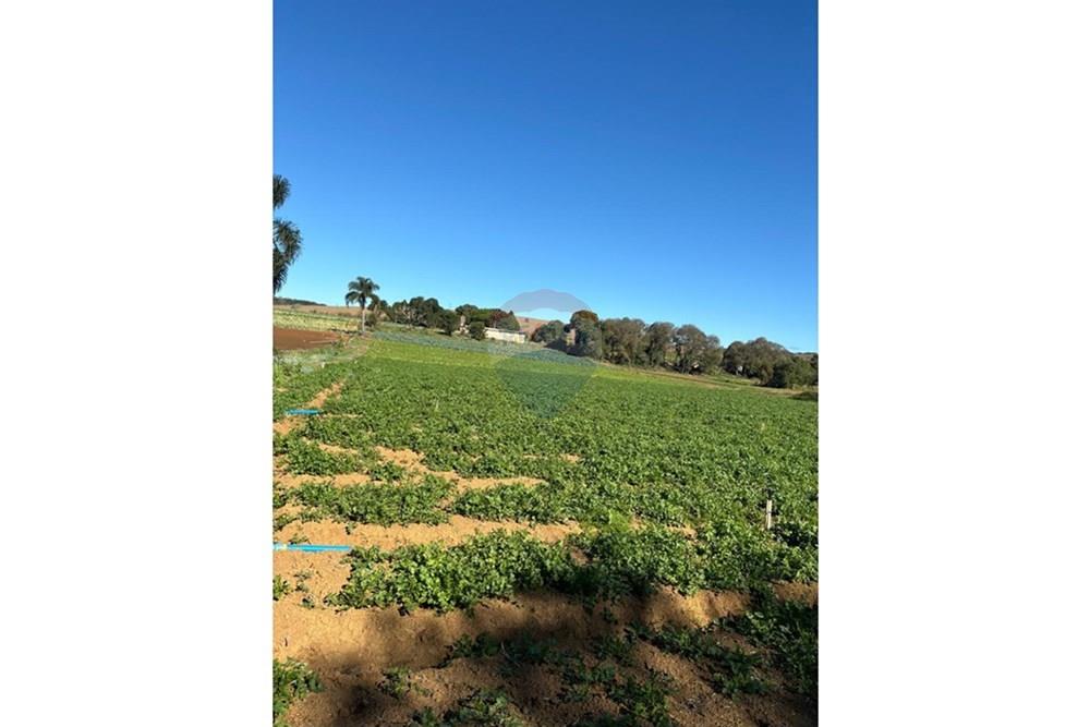 Terreno - Venda - São Roque , São Paulo - WhatsApp Image 2025-07-18 at 10.29.26 (1).jpeg - 631601004-126