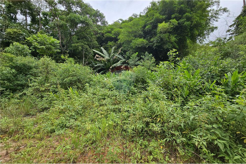 Residential - भूमि - Nova Friburgo , रिओ डे जैनेरो - BR - 30 - 630551016-143