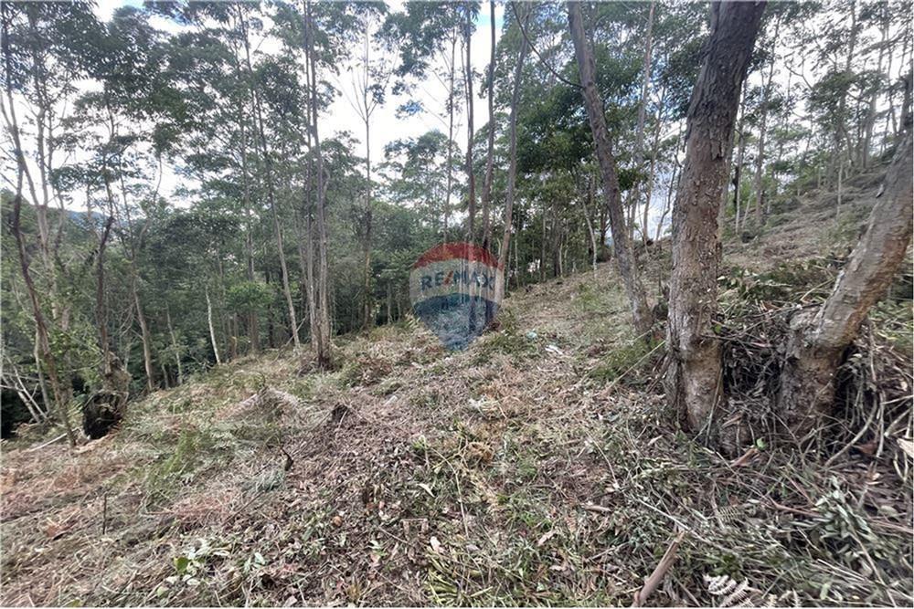 Terreno - Venda - Nova Friburgo , Rio de Janeiro - L_a13cda13117543edbd45dc798bb8f144.jpg - 630551116-2
