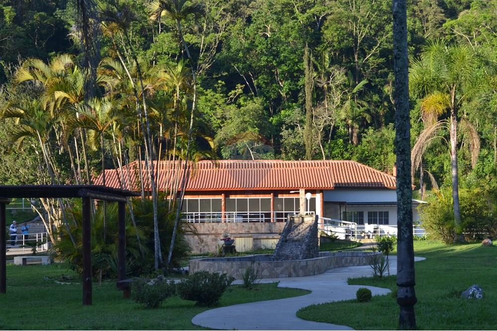 Chácara / Sítio / Fazenda - Venda - São Roque , São Paulo - DSC_6369.jpg - 631601004-87