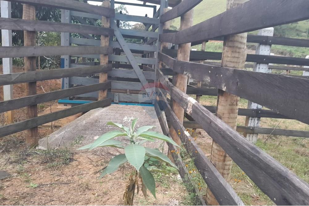 Agro - Venda - Santa Maria Madalena , Rio de Janeiro - WhatsApp Image 2025-05-29 at 13.32.54.jpeg - 630171007-50