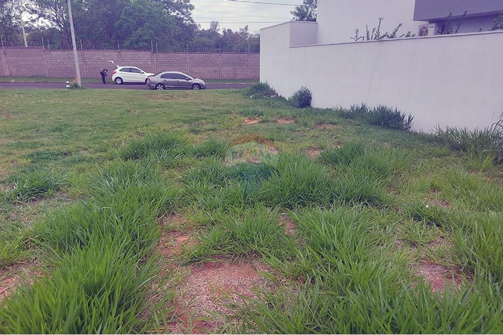 Terreno - Venda - Álvares Machado , São Paulo - 20251028_123542.jpg - 630861066-9